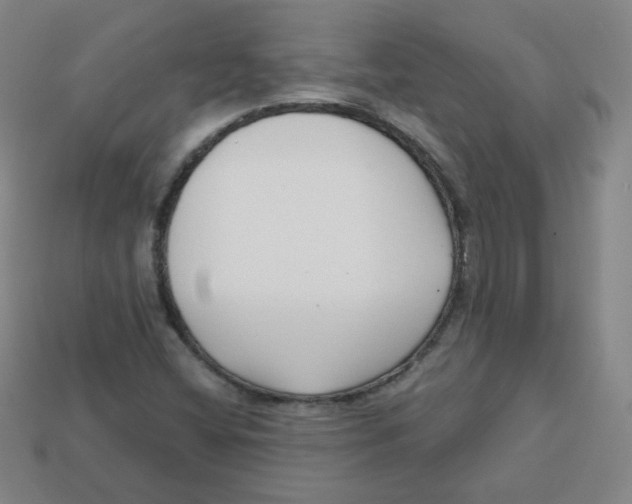 X0000113161404200910021451