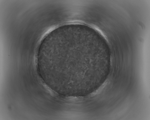 X0000113161405200910021451