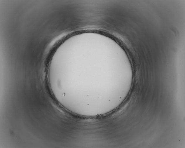 X0000113161406200910021451