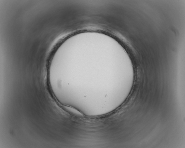 X0000113161408200910021451