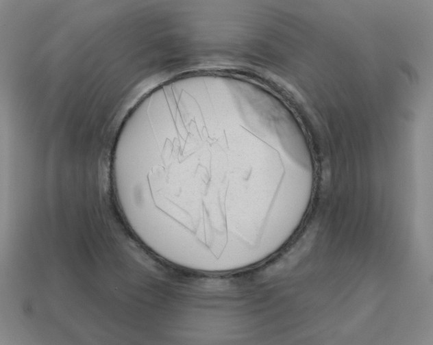 X0000113161409200910021451