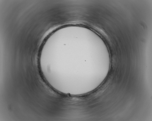 X0000113161412200910021451