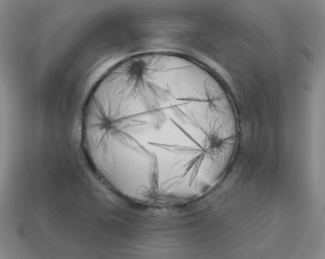 X0000113161415200910021451