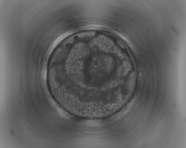 X0000113161418200910021451