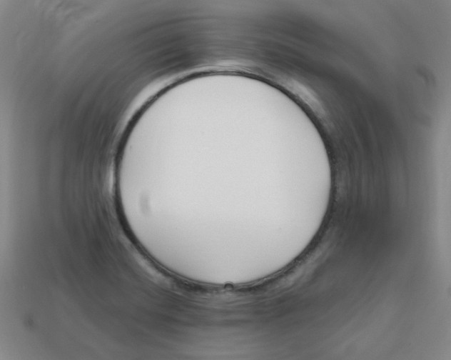 X0000113161420200910021451