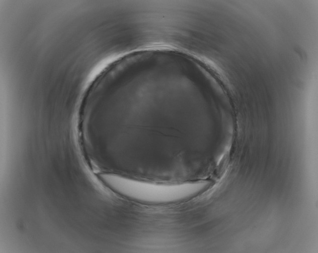 X0000113161422200910021451