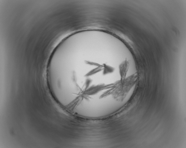 X0000113161423200910021451