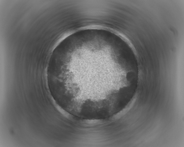 X0000113161425200910021451