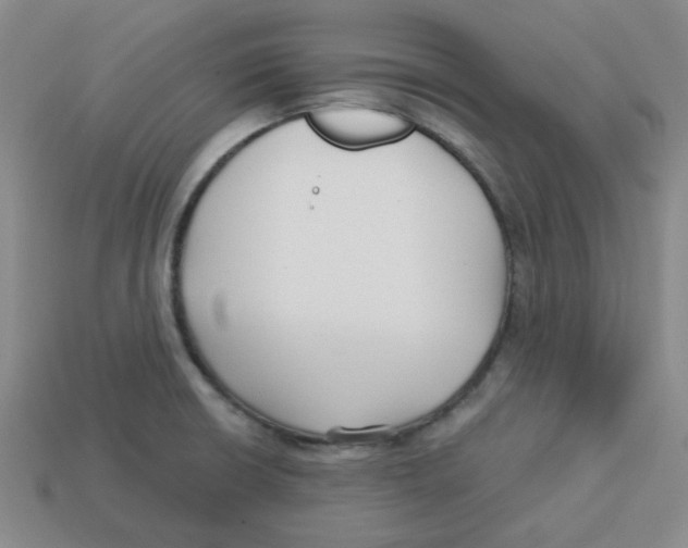 X0000113161426200910021451