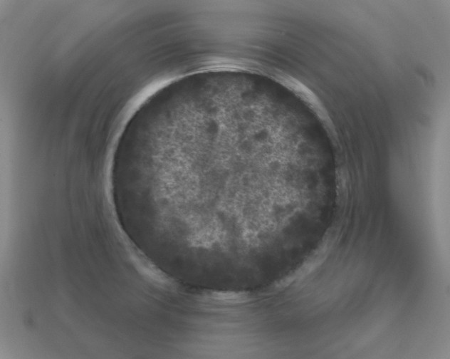 X0000113161427200910021451