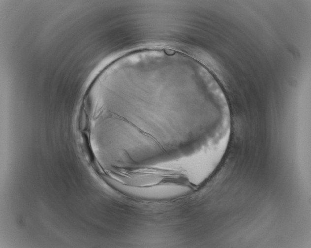 X0000113161428200910021451