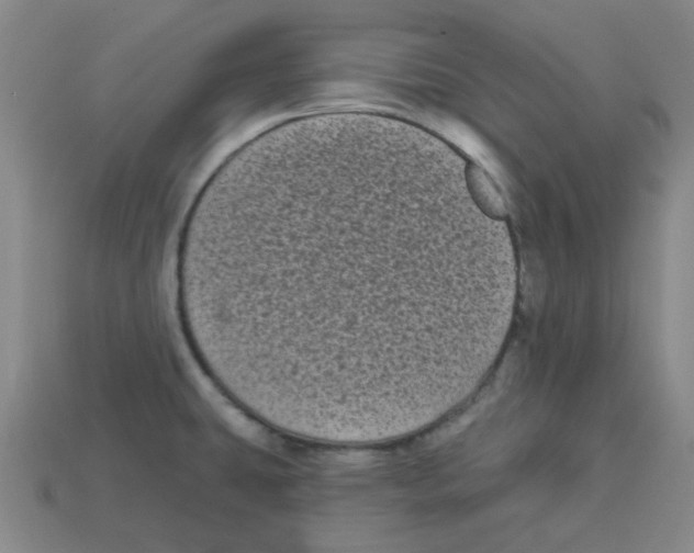 X0000113161431200910021451