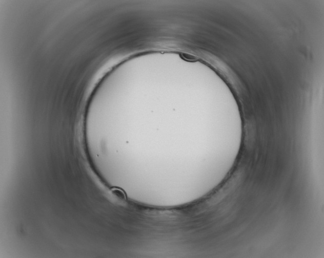 X0000113161432200910021452