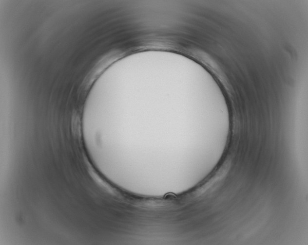 X0000113161433200910021452