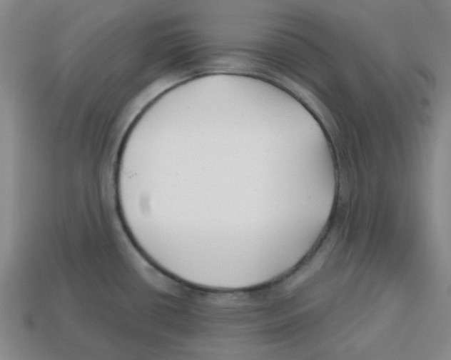 X0000113161434200910021452