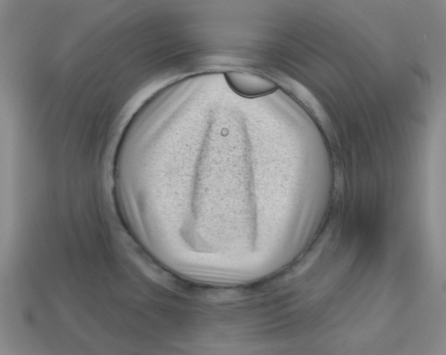 X0000113161435200910021452