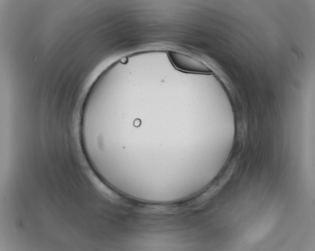 X0000113161438200910021452