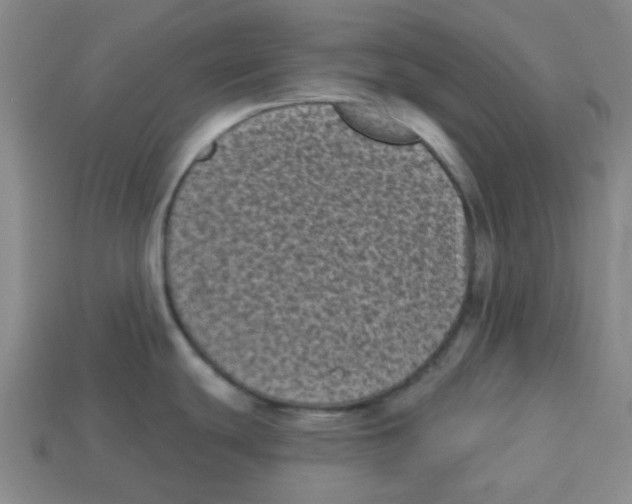 X0000113161439200910021452