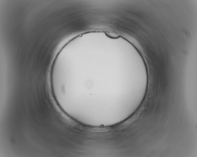 X0000113161440200910021452