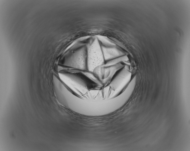 X0000113161441200910021451