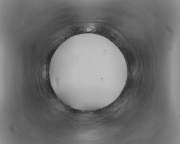 X0000113161442200910021451