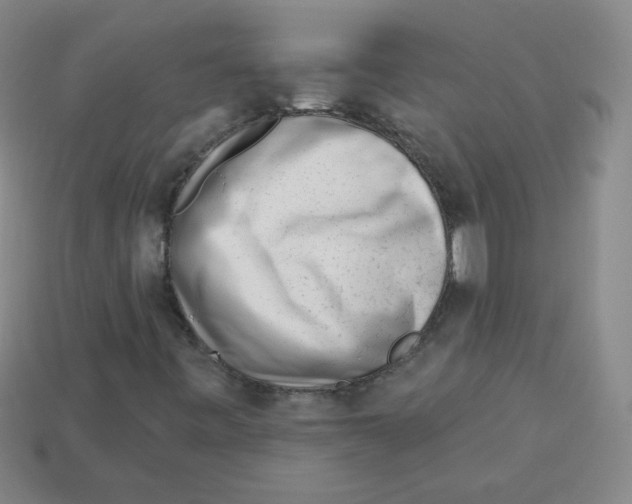 X0000113161443200910021451