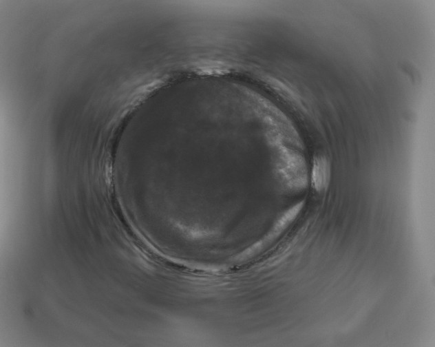 X0000113161444200910021451