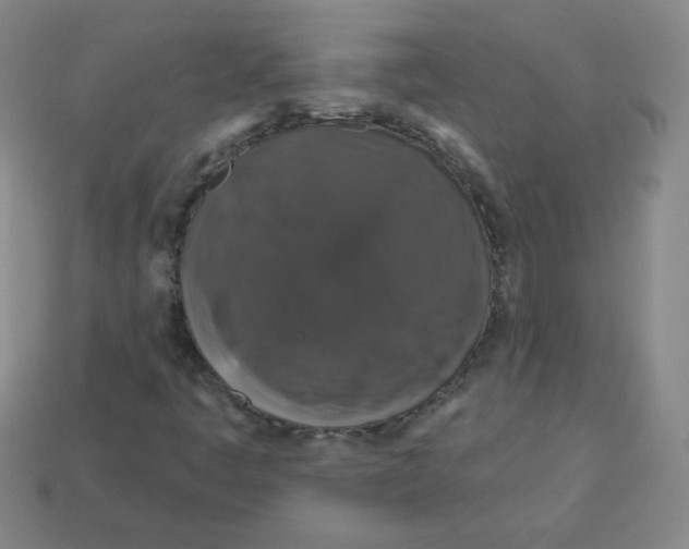 X0000113161445200910021451