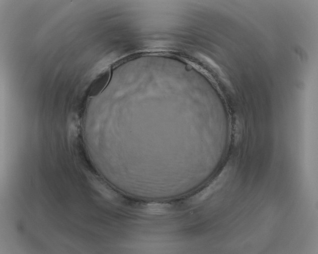 X0000113161449200910021451