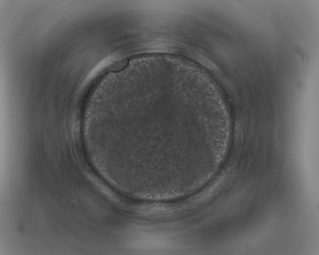 X0000113161450200910021451