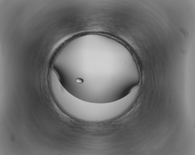 X0000113161452200910021451