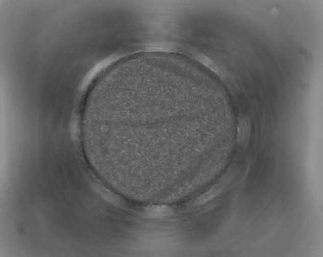 X0000113161454200910021451