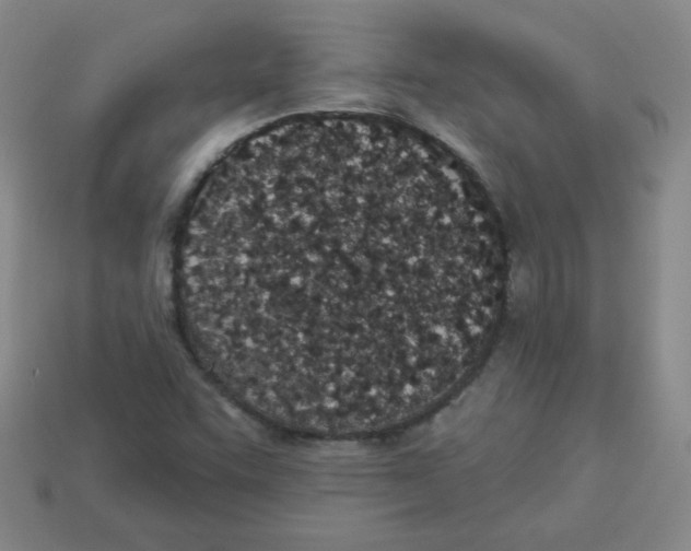 X0000113161455200910021451