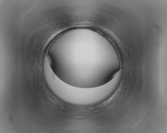 X0000113161457200910021451