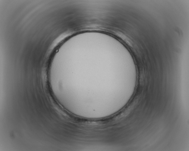 X0000113161458200910021451