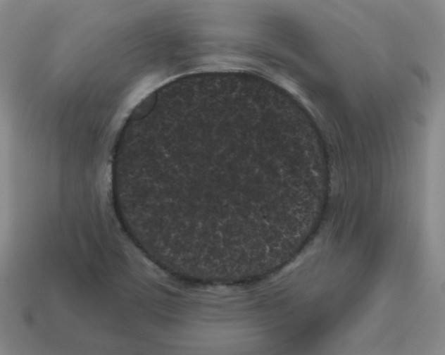 X0000113161459200910021451