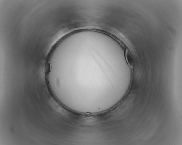 X0000113161460200910021451