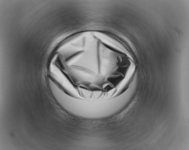 X0000113161461200910021451