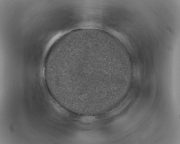 X0000113161462200910021451