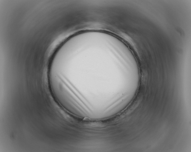 X0000113161464200910021451