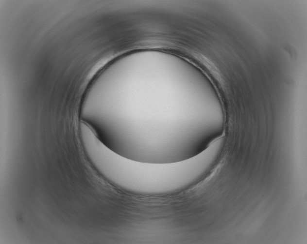 X0000113161465200910021451