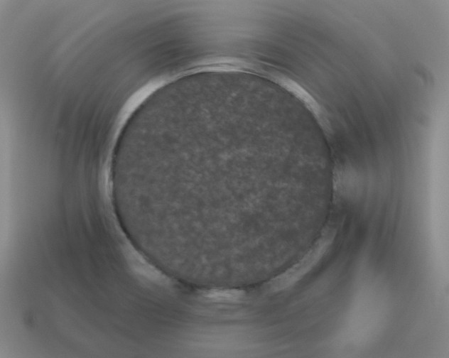 X0000113161466200910021451