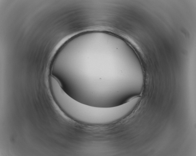 X0000113161468200910021450