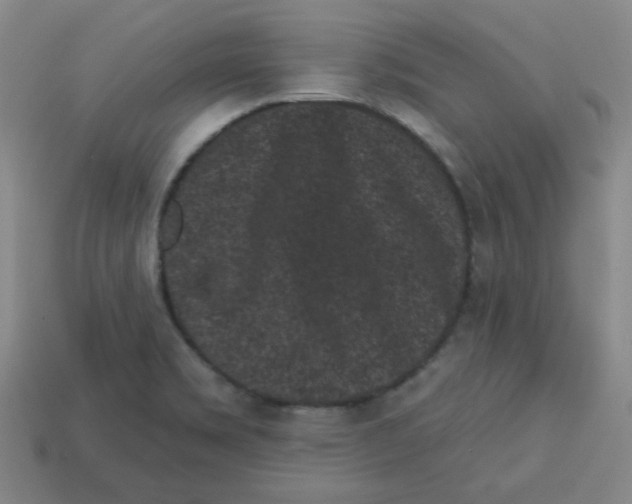 X0000113161469200910021450