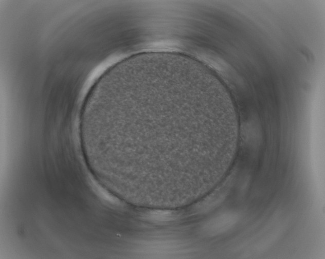 X0000113161470200910021450