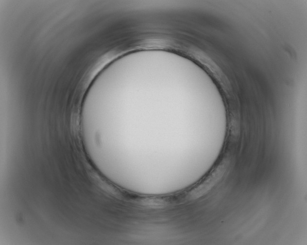 X0000113161473200910021450