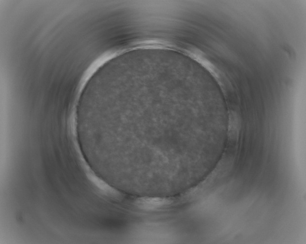 X0000113161474200910021450