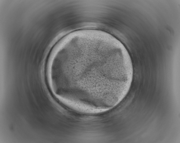 X0000113161475200910021450