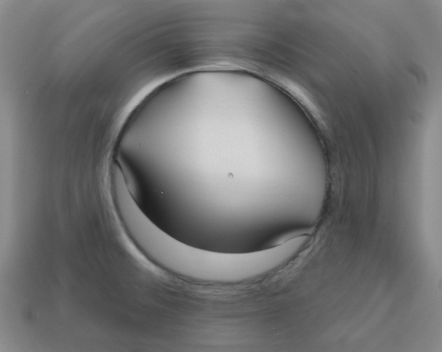 X0000113161476200910021450