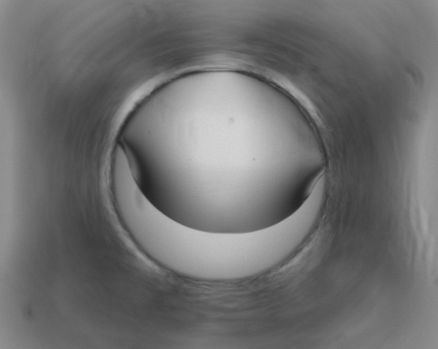 X0000113161477200910021450